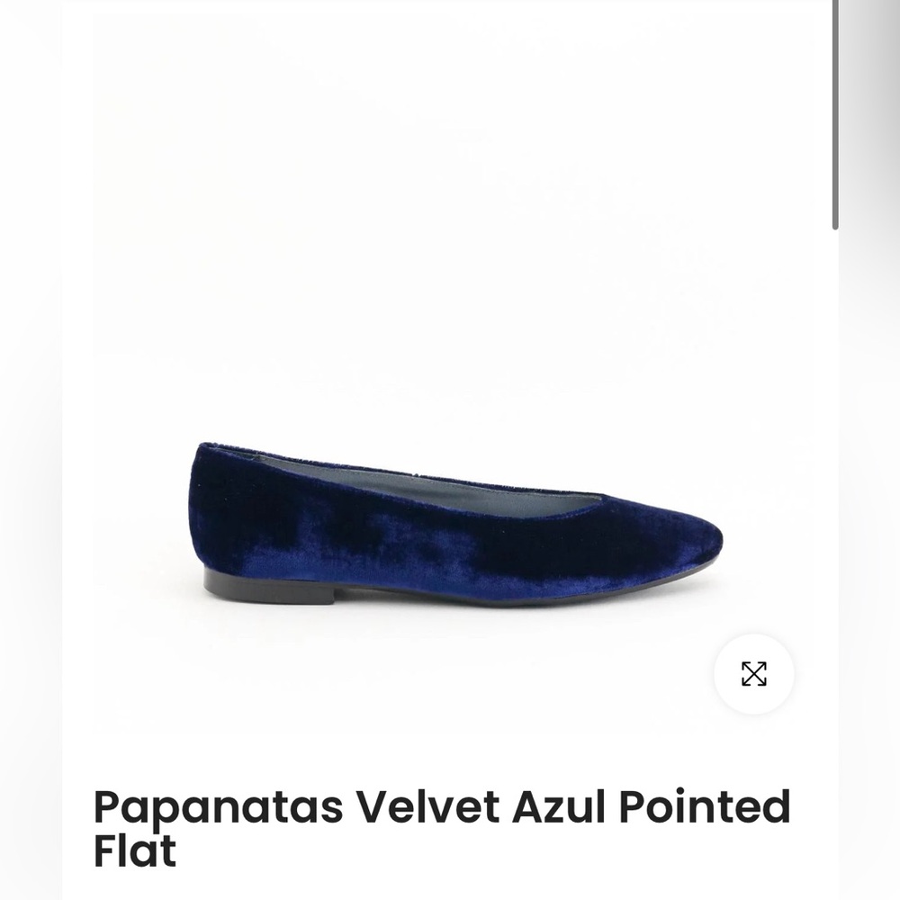 Papanatas blue Velvet Azul Pointed flat size
6.5

Excellent condition!